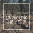 MINISODE 6: Strange Lights & Deflated Cows  image