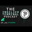 Insilico Terminal Podcast Episode 23 - Pedma image