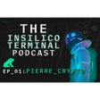 Insilico Terminal Podcast Episode 1 - Pierre Crypto  image