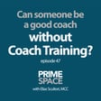 Can Someone Be a Good Coach without Coach Training? image