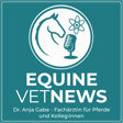 Mauke – Equine Pastern Dermatitis: Pathogenese, Diagnostik und Therapie einschließlich leukozytoklastischer Vaskulitis und chronisch progressivem Lymphödem image