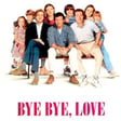 Bye Bye Love image