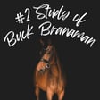 Buck Brannaman image