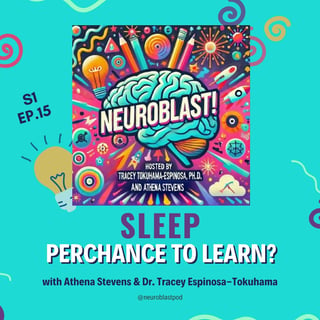 Sleep Perchance to Learn