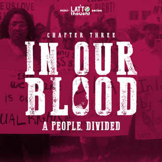 In Our Blood: A People, Divided