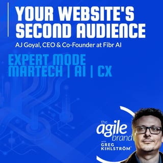 Fibr AI CEO Ankur Goyal on your website's second audience