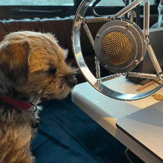 Joe Bly's Show