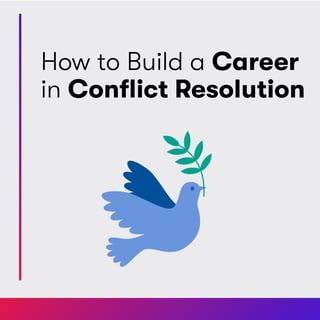 How to Build a Career in Conflict Resolution: A Peace Practitioner's Journey
