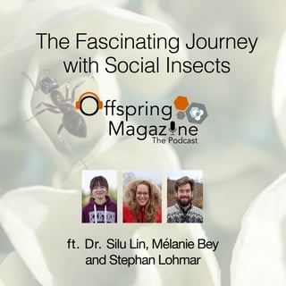 #5-08 - The Fascinating Journey with Social Insects - ft. Dr. Silu Lin, Mélanie Bey & Stephan Lohmar 