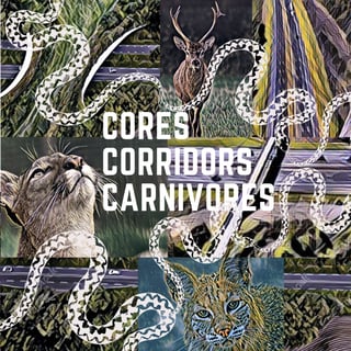 Beth Pratt | National Wildlife Federation | Coexisting with Wildlife 
