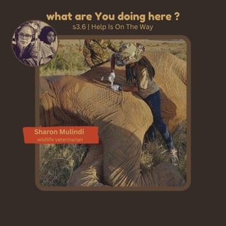 Help Is On The Way | Wildlife Vet. Dr. Sharon Mulindi