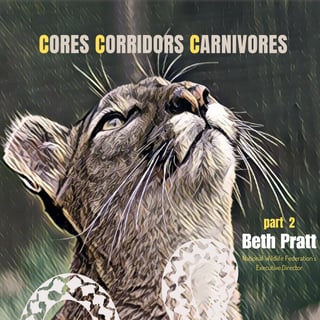Part 2 | Beth Pratt | National Wildlife Federation | Coexisting with Wildlife