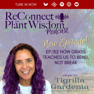 Ep.132 How Grass Teaches Us to Bend, Not Break