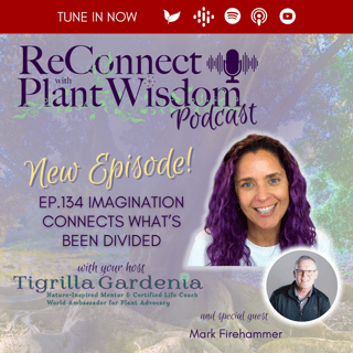 Ep.134 Imagination Connects What’s Been Divided with Mark Firehammer