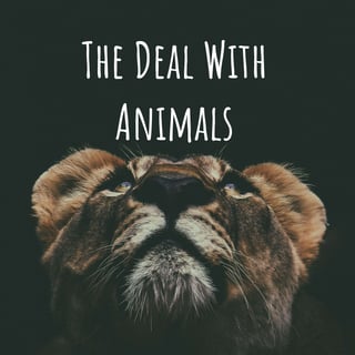 150. Building the Future of Animal Advocacy: PHAIR Animal Advocacy Conference
