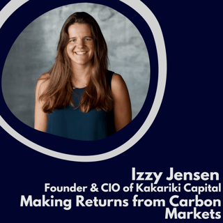 Making Returns from Carbon Markets