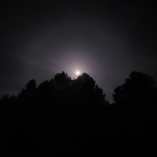 Full Spectrum Holistic Health - The Benefits of Darkness