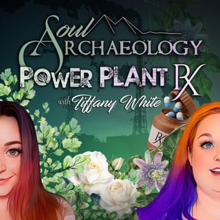 Power Plant RX, Discovering The Healing Magic In Our Own Back Yard