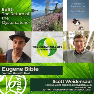 The Return of the Oystercatcher w/ Scott Weidensaul