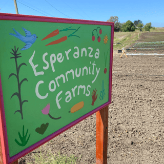 Spotlight on Equity - Esperanza Community Farms- Espanol version
