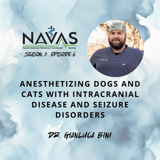Dr. Gianluca Bini explores the complexities of anesthetizing dogs and cats with intracranial disease and seizure disorders