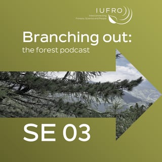 Branching out