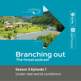 Episode 7: Under real-world conditions