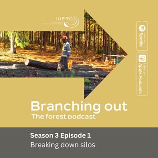 Episode 1: Breaking down silos