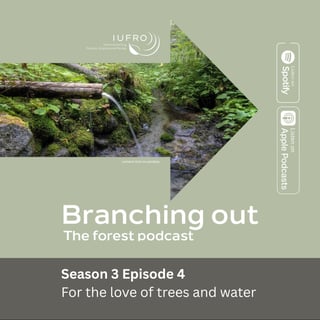 Episode 4: For the love of trees and water