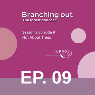 Episode 9: Not About Trees