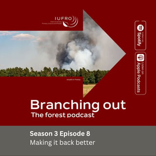 Episode 8: Making it back better