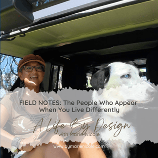 Field Notes: The People Who Appear When You Live Differently
