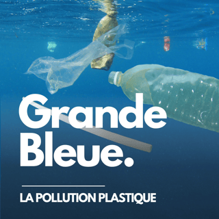 Le fléau du plastique en Méditerranée (avec No Plastic in My Sea)