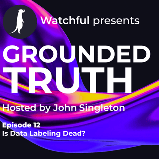 Is Data Labeling Dead?