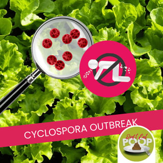 Cyclospora Outbreak: 7,000 Sick and the Surveillance System That Went Dark | Episode 177