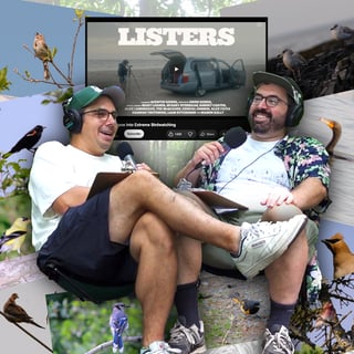 Lister, birdwatching extrême et nos premières aventures ornitho