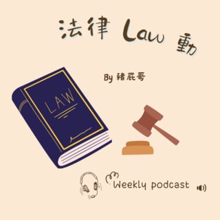 法律LAW動