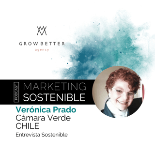 Promoviendo la incorporación de la circularidad y regeneración en los modelos de negocio - CÁMARA VERDE DE COMERCIO CHILE