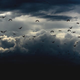 GENIUS OF NOTHING PODCAST 21 - Īśvarapraṇidhāna ”Surrender"