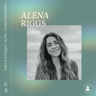 Restoring blue carbon coastal ecosystems  with SeaTrees’ Alena Riggs 