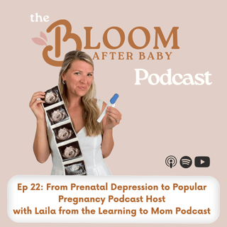 From Prenatal Depression to Popular Pregnancy Podcast Host with Laila from the Learning to Mom Podcast