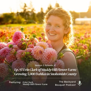 Ep. 97 Erin Clark of Muddy Hill Flower Farm: Growing 5,000 Dahlias in Snohomish County