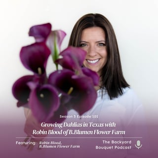 Ep. 101: Growing Dahlias in Texas with Robin Blood of B.Blumen Flower Farm
