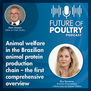 Animal welfare in the Brazilian animal protein production chain – the first comprehensive overview