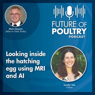 Looking inside the hatching egg using MRI and AI
