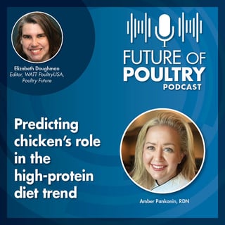 Predicting chicken's role in the high-protein diet trend