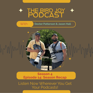 Season 4 Recap: Reflecting on Growth, Community, and Bird Joy