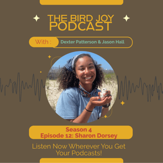 Birding, Outreach, and Building an Ecological Identity
