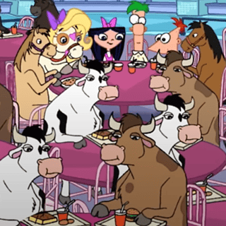 Cows in the Mall