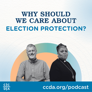 Why Should We Care About Election Protection?